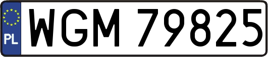 WGM79825