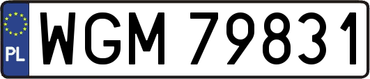 WGM79831