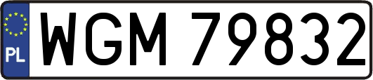 WGM79832