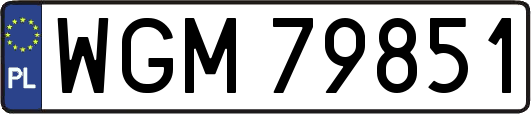 WGM79851