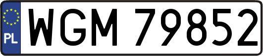 WGM79852