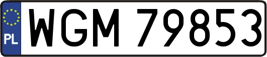 WGM79853