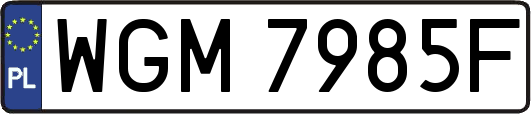 WGM7985F