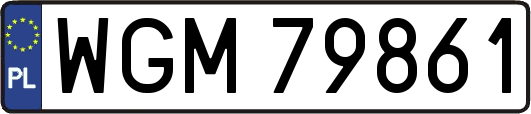 WGM79861