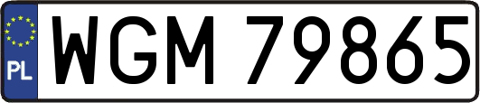 WGM79865