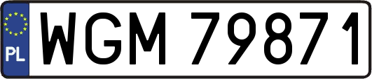 WGM79871