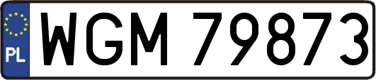 WGM79873