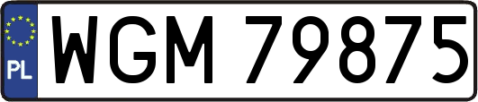 WGM79875