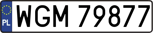 WGM79877