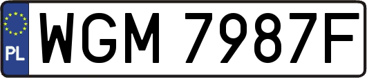 WGM7987F