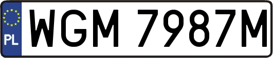 WGM7987M