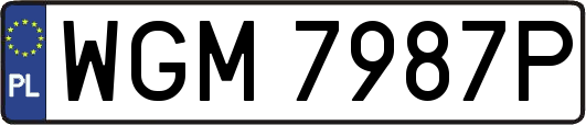 WGM7987P