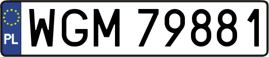 WGM79881