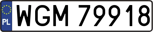 WGM79918