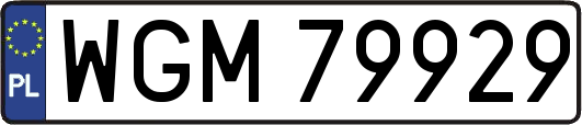 WGM79929
