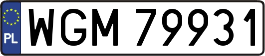 WGM79931
