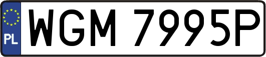 WGM7995P