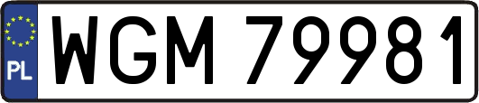 WGM79981