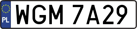 WGM7A29