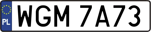 WGM7A73