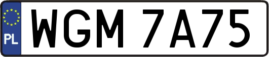WGM7A75