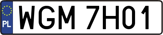 WGM7H01