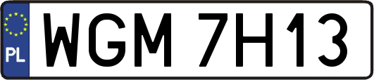 WGM7H13