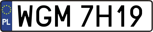 WGM7H19
