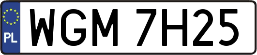 WGM7H25