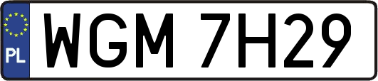 WGM7H29