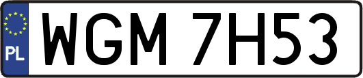 WGM7H53