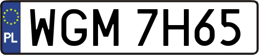 WGM7H65