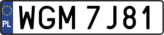 WGM7J81