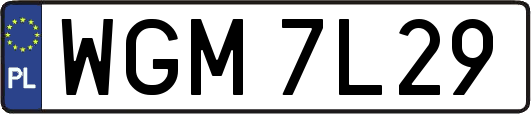 WGM7L29