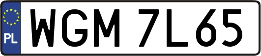 WGM7L65