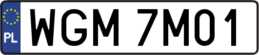 WGM7M01
