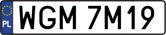 WGM7M19