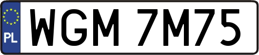WGM7M75