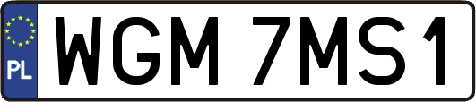 WGM7MS1