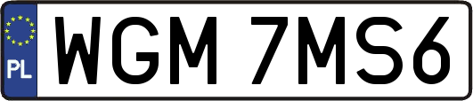 WGM7MS6