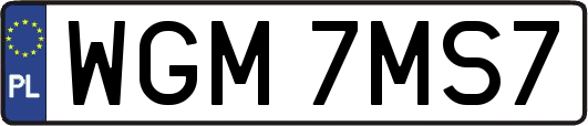 WGM7MS7