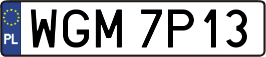 WGM7P13