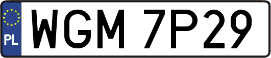 WGM7P29