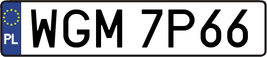 WGM7P66