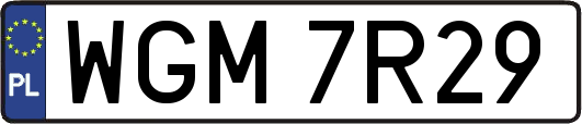 WGM7R29