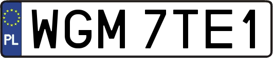 WGM7TE1