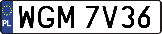 WGM7V36