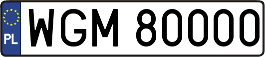 WGM80000