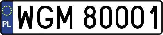 WGM80001