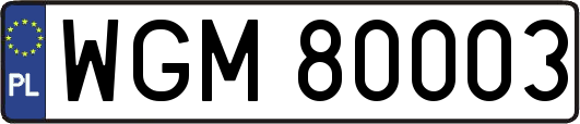 WGM80003